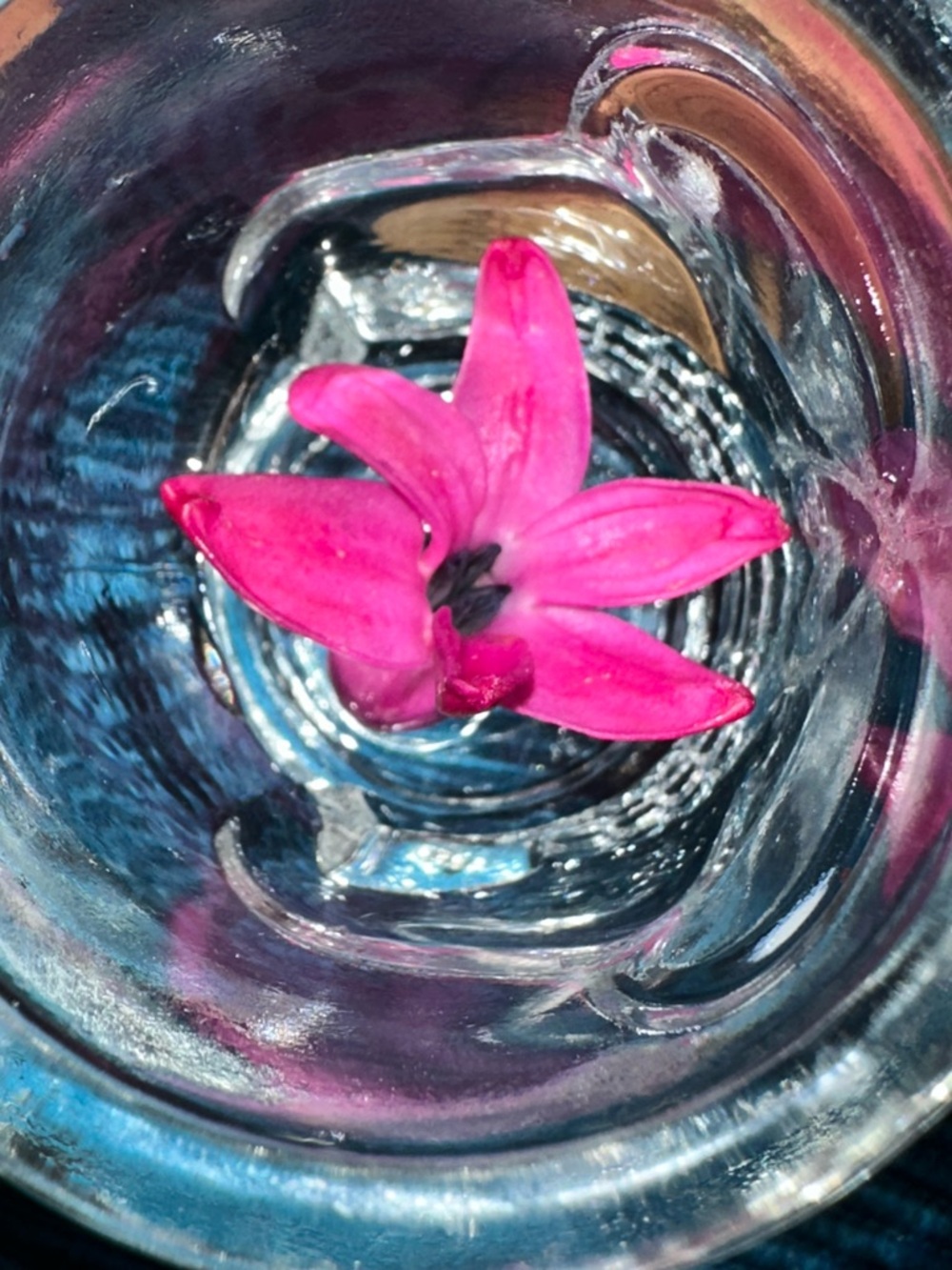 Meet your Posher, Tricia